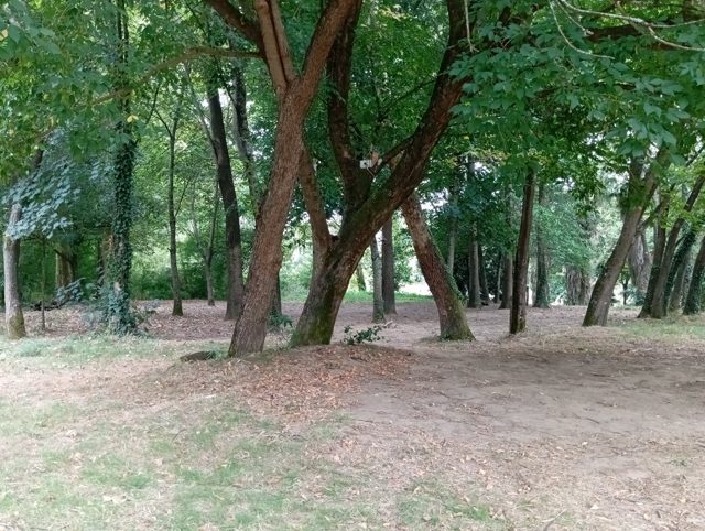 Centro de Atividades Escotistas de Gondomar